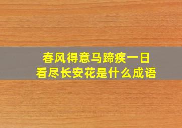 春风得意马蹄疾一日看尽长安花是什么成语