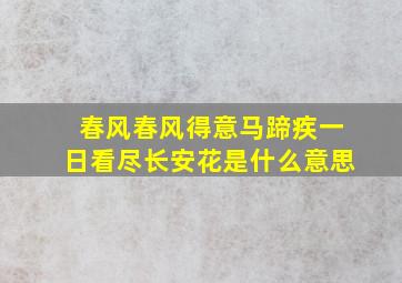 春风春风得意马蹄疾一日看尽长安花是什么意思