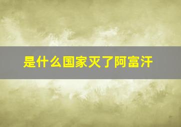 是什么国家灭了阿富汗