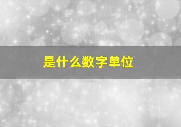 是什么数字单位