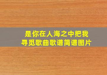 是你在人海之中把我寻觅歌曲歌谱简谱图片