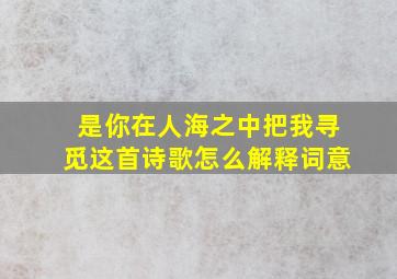 是你在人海之中把我寻觅这首诗歌怎么解释词意