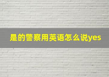 是的警察用英语怎么说yes