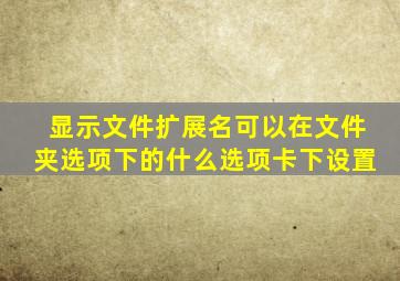 显示文件扩展名可以在文件夹选项下的什么选项卡下设置