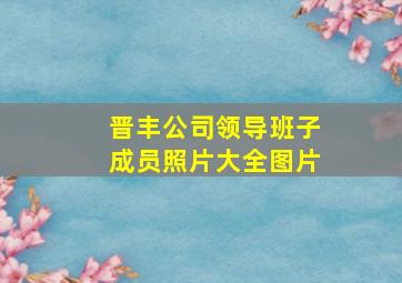 晋丰公司领导班子成员照片大全图片