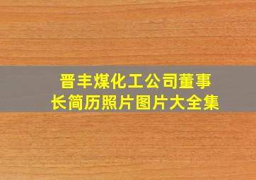 晋丰煤化工公司董事长简历照片图片大全集