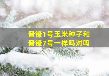 晋锋1号玉米种子和晋锋7号一样吗对吗