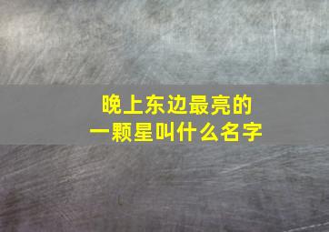 晚上东边最亮的一颗星叫什么名字