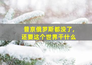 普京俄罗斯都没了,还要这个世界干什么