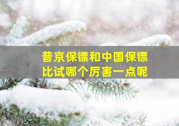 普京保镖和中国保镖比试哪个厉害一点呢