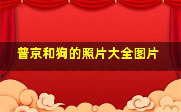 普京和狗的照片大全图片