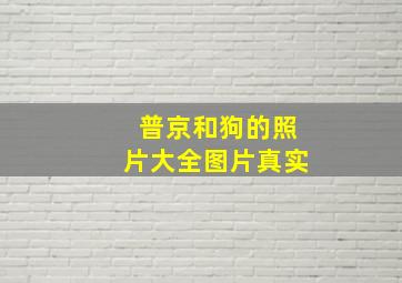 普京和狗的照片大全图片真实