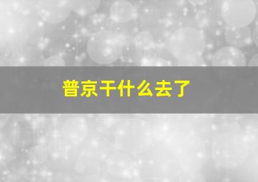 普京干什么去了