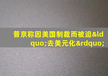 普京称因美国制裁而被迫“去美元化”