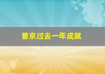 普京过去一年成就