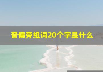 普偏旁组词20个字是什么