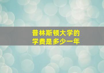 普林斯顿大学的学费是多少一年