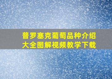 普罗塞克葡萄品种介绍大全图解视频教学下载