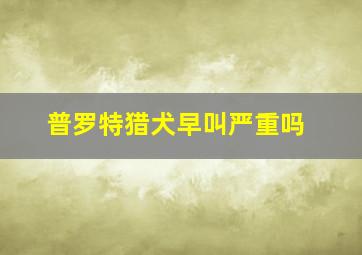 普罗特猎犬早叫严重吗