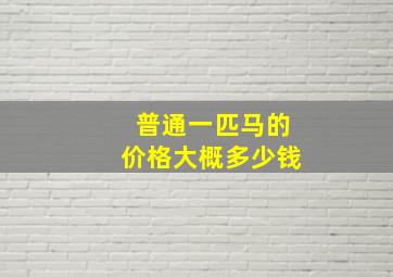 普通一匹马的价格大概多少钱