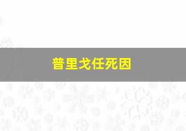 普里戈任死因