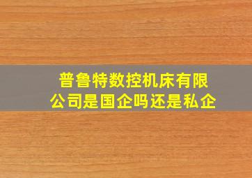 普鲁特数控机床有限公司是国企吗还是私企