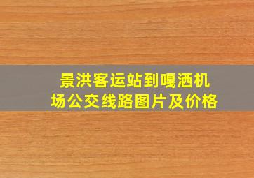 景洪客运站到嘎洒机场公交线路图片及价格