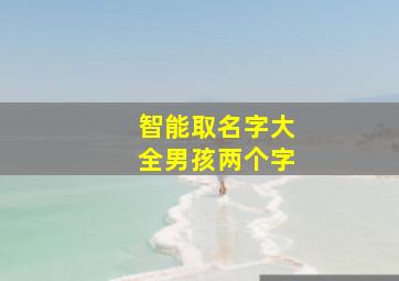 智能取名字大全男孩两个字