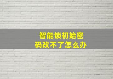 智能锁初始密码改不了怎么办