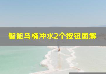 智能马桶冲水2个按钮图解