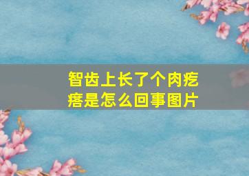 智齿上长了个肉疙瘩是怎么回事图片