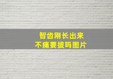 智齿刚长出来不痛要拔吗图片