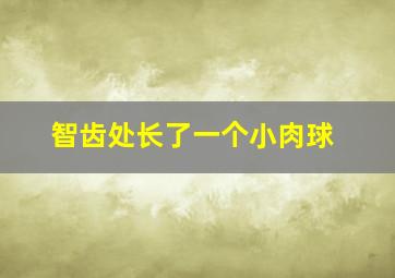 智齿处长了一个小肉球