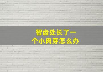 智齿处长了一个小肉芽怎么办