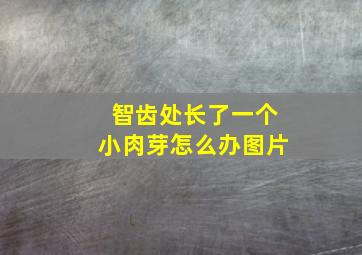 智齿处长了一个小肉芽怎么办图片