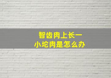 智齿肉上长一小坨肉是怎么办