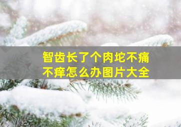 智齿长了个肉坨不痛不痒怎么办图片大全