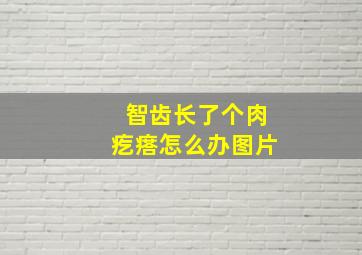 智齿长了个肉疙瘩怎么办图片