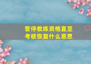 暂停教练资格直至考核恢复什么意思