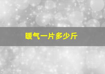 暖气一片多少斤