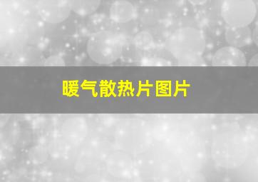 暖气散热片图片