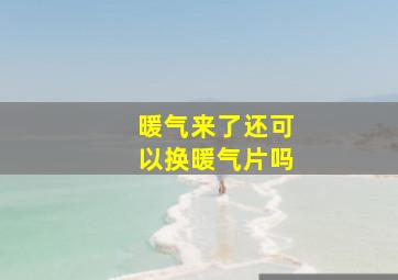 暖气来了还可以换暖气片吗