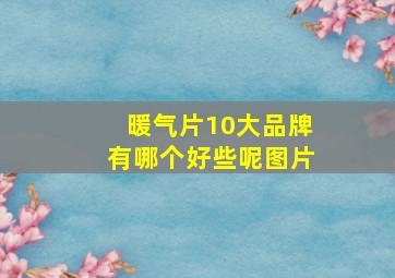 暖气片10大品牌有哪个好些呢图片