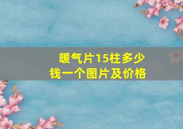 暖气片15柱多少钱一个图片及价格