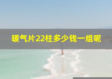 暖气片22柱多少钱一组呢