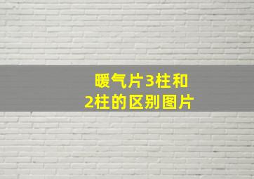 暖气片3柱和2柱的区别图片