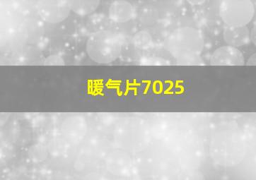 暖气片7025