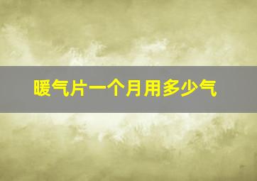 暖气片一个月用多少气