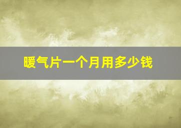 暖气片一个月用多少钱