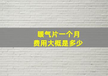 暖气片一个月费用大概是多少